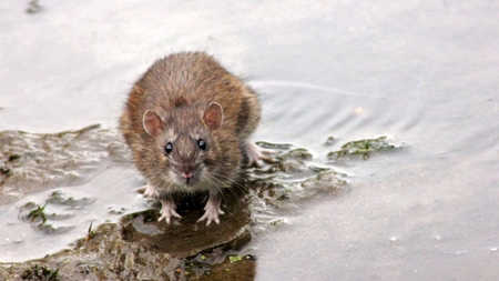 pexels-photo-57741761_0