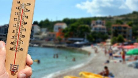 1473471-kafsonas-930-2