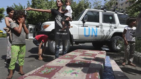 AP23255456211277-768x512