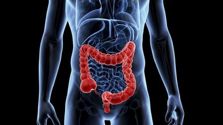 nosokoma247-entero-paxi-lepto-pathiseis-therapeia-pafili-sofia-770x470