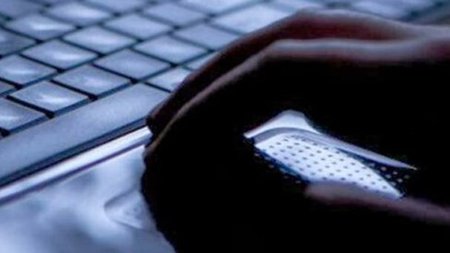 cats_6QPlfuE.width-750