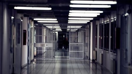 cats_x5EiUEG.width-750