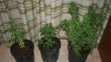 3697da18-2b95-4406-8515-6426ec587448.jpg