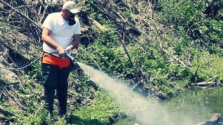 e07a36ebee6e817dee8cc683b1b6b8e6