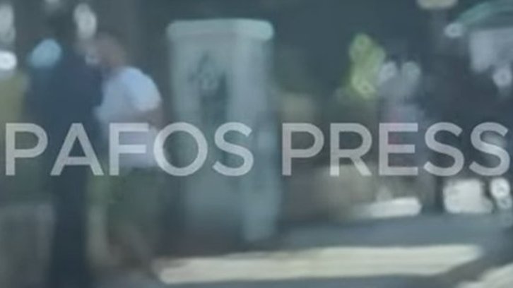 cats_OJn8bMl.width-750