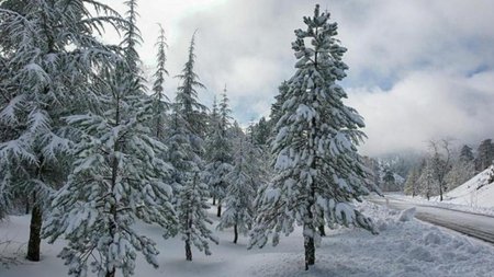 cache_1500x3000_analog_medium_626609_355434_16122018_0