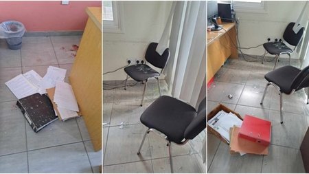 cats_o1LIZP4.width-750