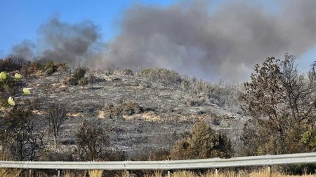 441173035_462933412956753_614461223724747943_n.width-800