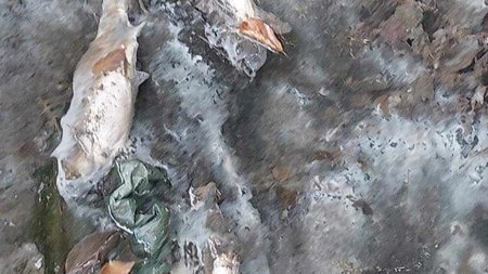 364667873_606938531592317_3532372128124513455_n