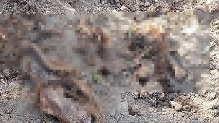 355370535_1020683792256497_8228468608929502188_n