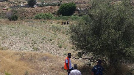 DOC.20230515.4966740.koloni-entopismos