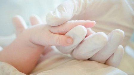 09bd1b545f45a53fe397cff656cf6653_L