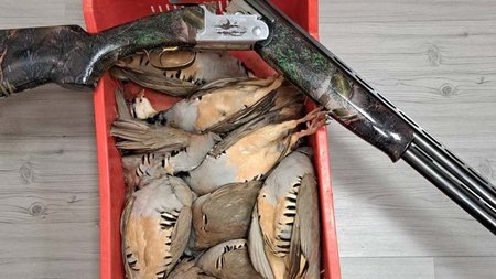 395414998_722625979905326_4463899540618963607_n (1)