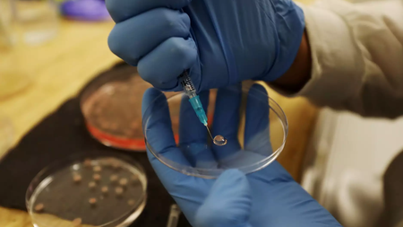 ergastirio_laboratory_2_Reuters_18_09_2020