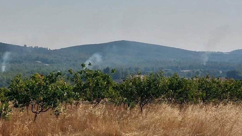 aylwnas_04