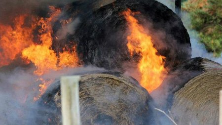 cache_1500x3000_Analog_medium_1363932_102336_28122021