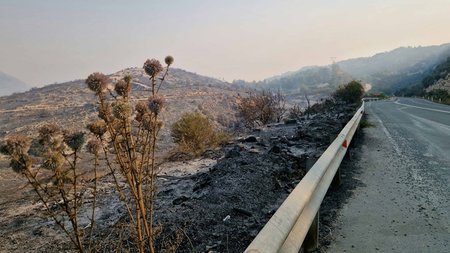 DOC.20250724.8796634.kamenatopialemesos1