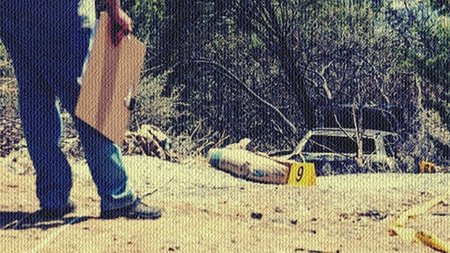 cats_xGQH1fj.width-750