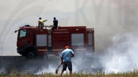 0aeb456c-cc2e-401c-9a9a-987f8faa8227_890