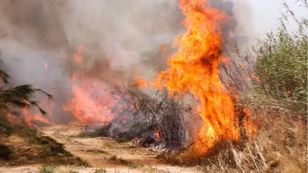 pirkagia-sti-leukosia-xreiastike-na-prostatepsoun-oikia