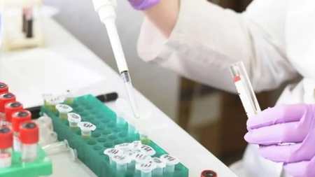 32224_80.jpg