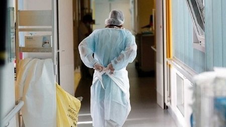 cats_FCNl8LA.width-750