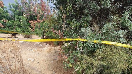 384560474_254626937591339_253726