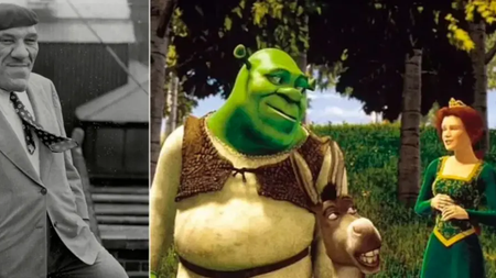 shrekmaketa