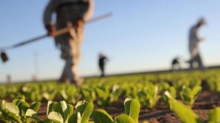 21dd544380615ea24907b3dbdeba3cdf