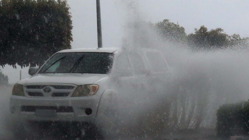 29d982dc4377760d9a41b4df17616b2a