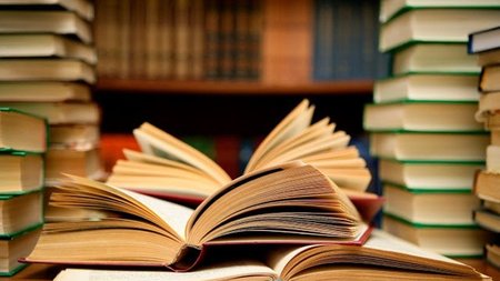 74db68a1f56e4f787b4444e994f58db5_vivlia_4-1