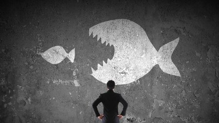 shutterstock_267214307_0