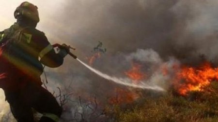 pirosvestiki_0.width-750