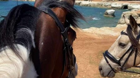 georges-ranch-horse-riding-in-pafos-2