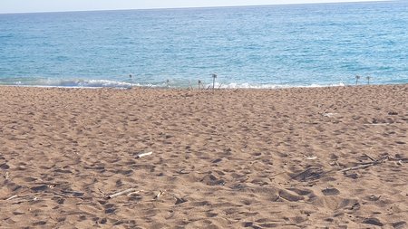 DOC.20250702.8689569.turtles-pafos