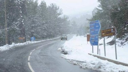 009d51a4-575a-465e-a457-e832390c9da3_troodosoook