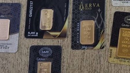 503805170_1133566338811285_2509543788954229561_n