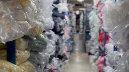 cats_WDk0v6a.width-750