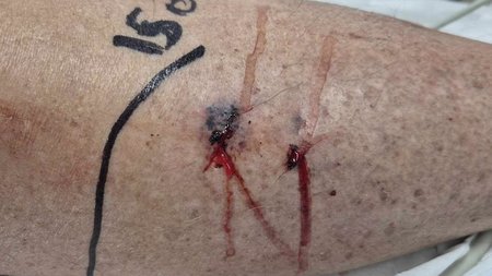 492686385_1219117366672944_8087926498409520705_n