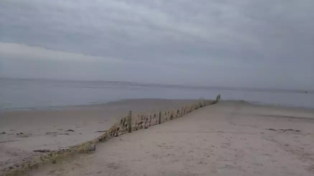 ff5cfc4a-c768-452f-8a3a-19d716214d28