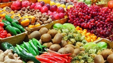 OPOROKEPEUTIKA.width-750