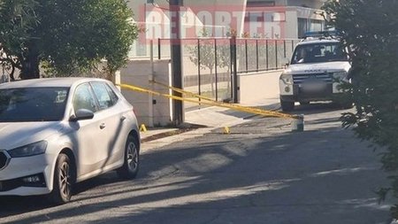 cats_AulgMmu.width-1024.width-800.width-800.width-750