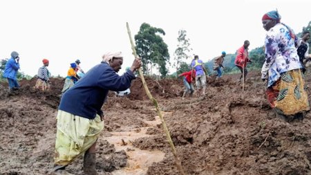 AP24333397604293-768x512