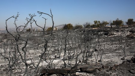 DOC.20230807.5350842.01FL20