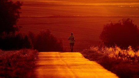 1bb5968a-976f-4203-bbcd-8c39647345b5