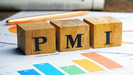 ΔΕΙΚΤΗΣ PMI