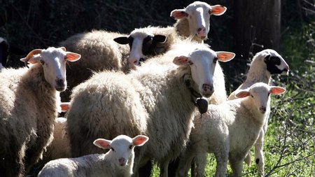 CNA_Fa32e7cb2eceb4755be32cea29aadf943