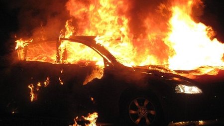 cats_2XVfgeO.width-750