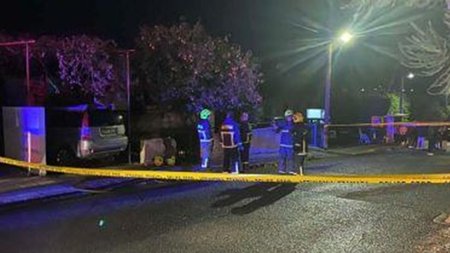 cache_500x500_7771835_1364862_31122024073522