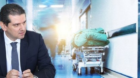 cats_6qDm5Dw.width-750